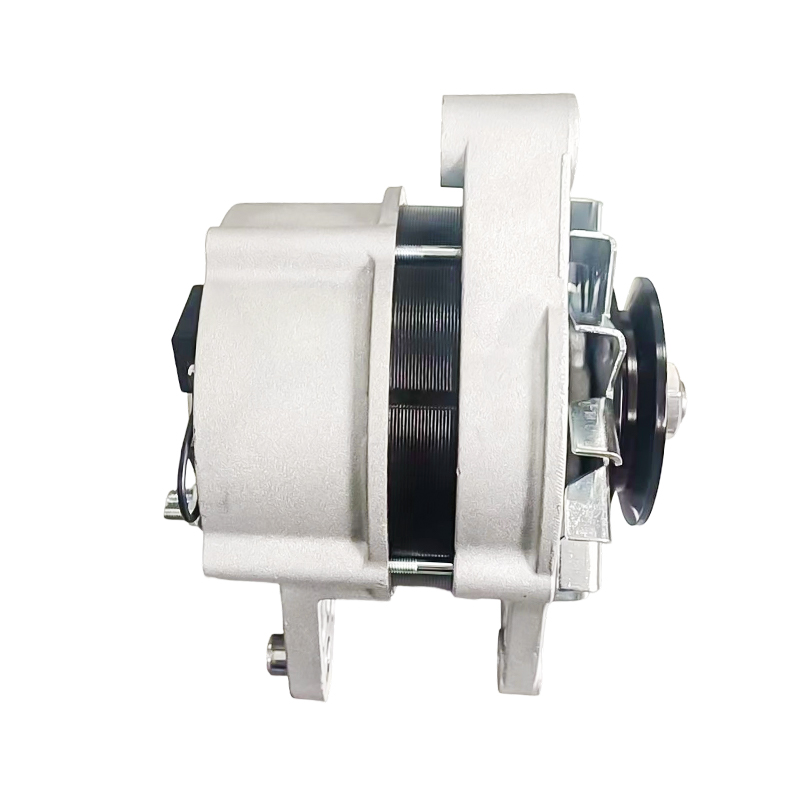 MG791 AAK4653 IA1616 11204629 72442837 AAK4653 12V 120A 8PK62mm ISKRA / LETRIKA Alternatori