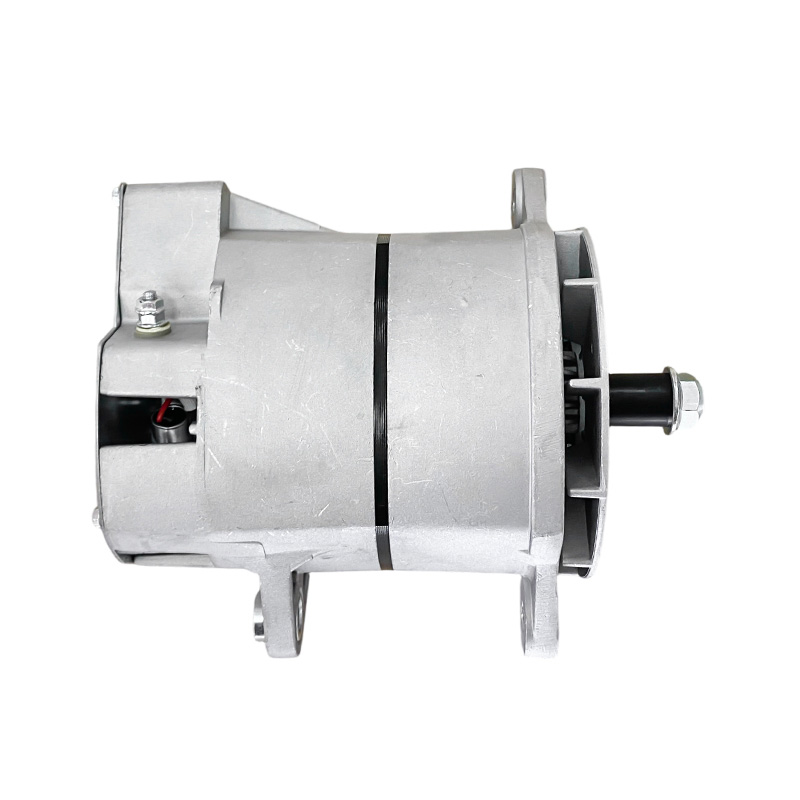 7975, 1117805, 1117831, 1117836, 1117838, 1142401, OR8997, 3675103RX, 110-459, E820135X 24V 75 Alternatori Delco per 000-SYDR016 24V 100A